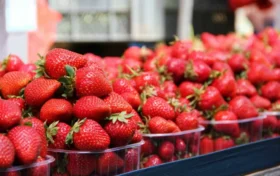 Минимума достигли в этом сезоне в России цены на клубнику